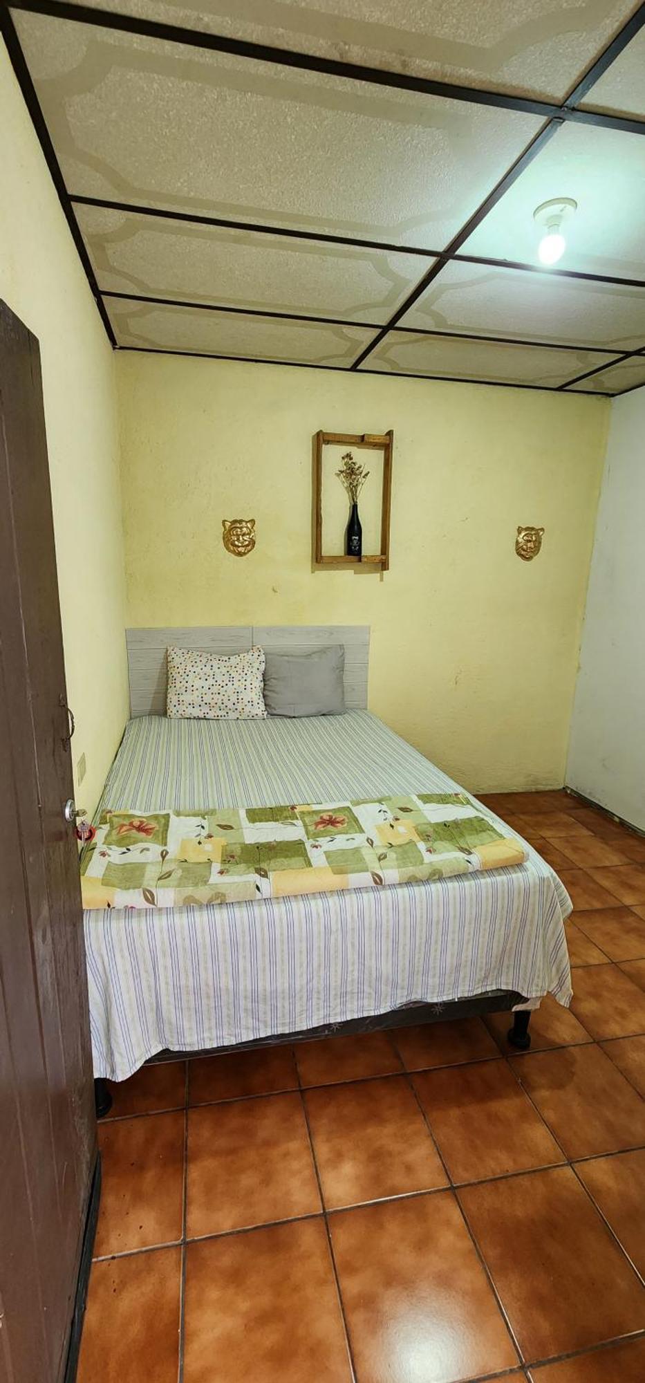 Jaguar Basic Accommodation Antigua Esterno foto